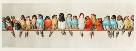 A Perch of Birds by Hector Giacomelli, 1880