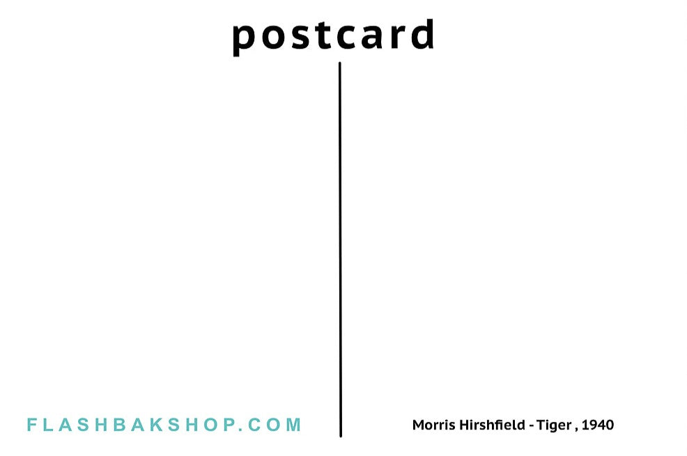 Tiger by Morris Hirshfield, 1940 - Postcard