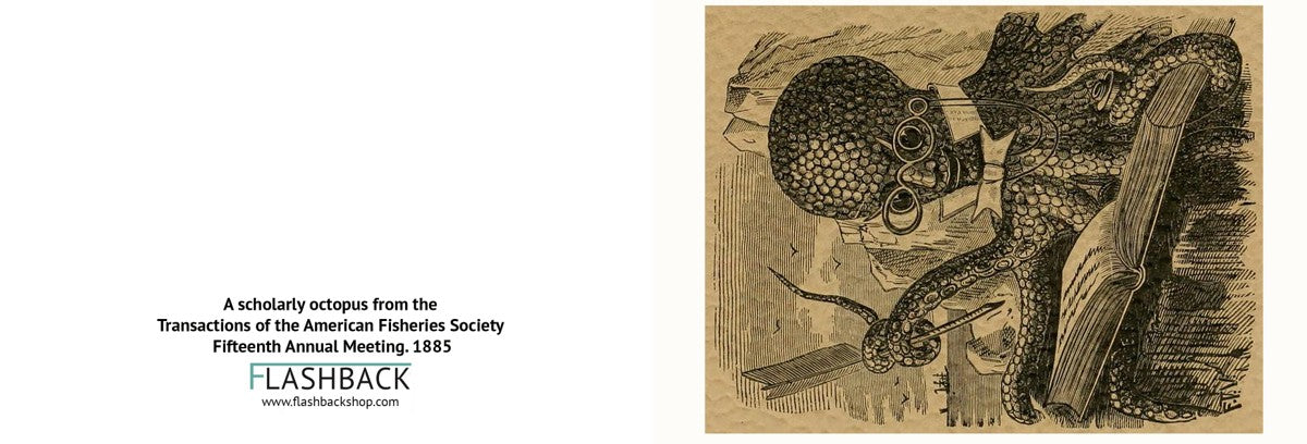 A scholarly octopus from the Transactions of the American Fisheries Society Fifteenth Annual Meeting, 1885 - postcard