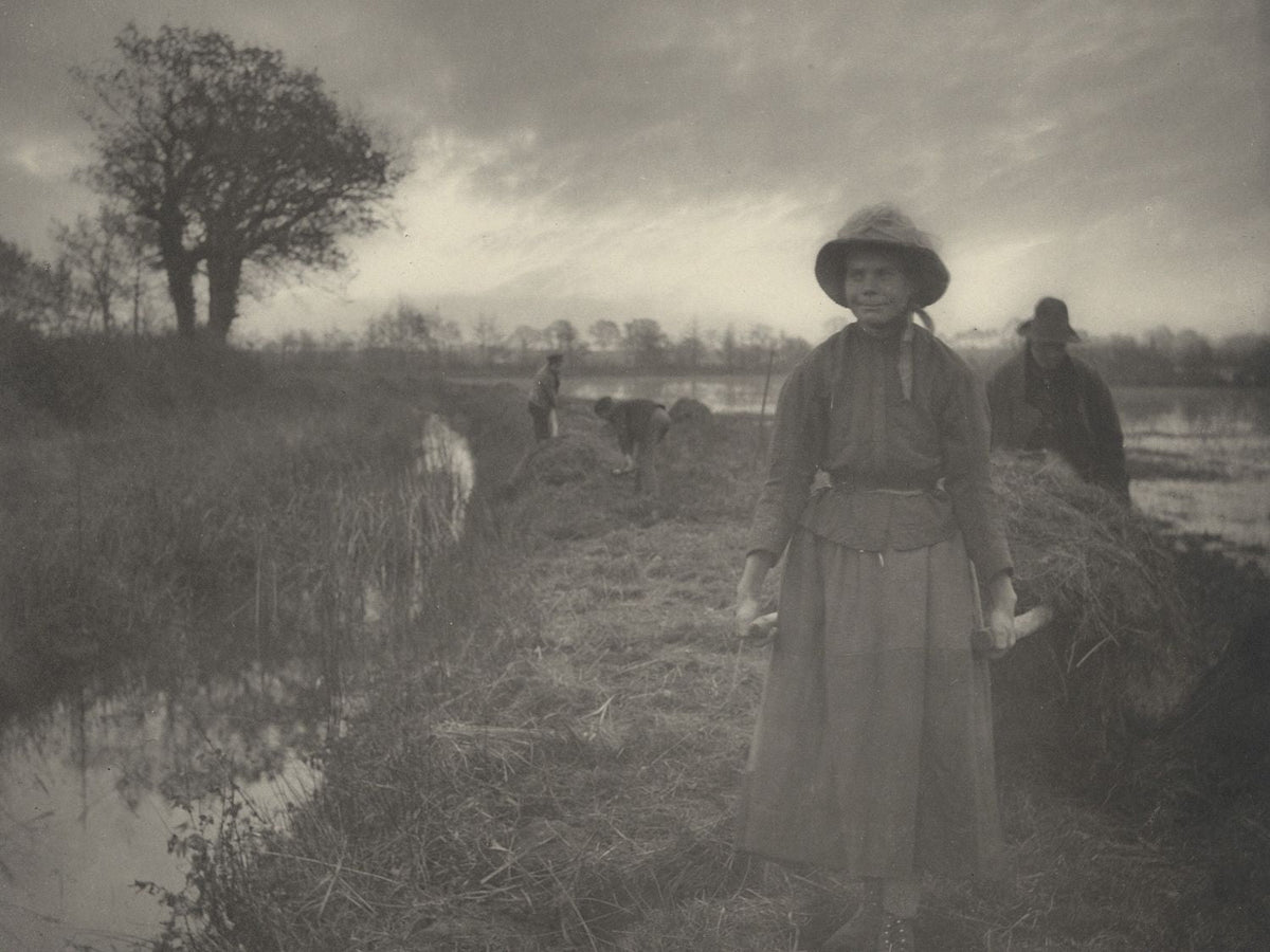 Poling the Marsh Hay