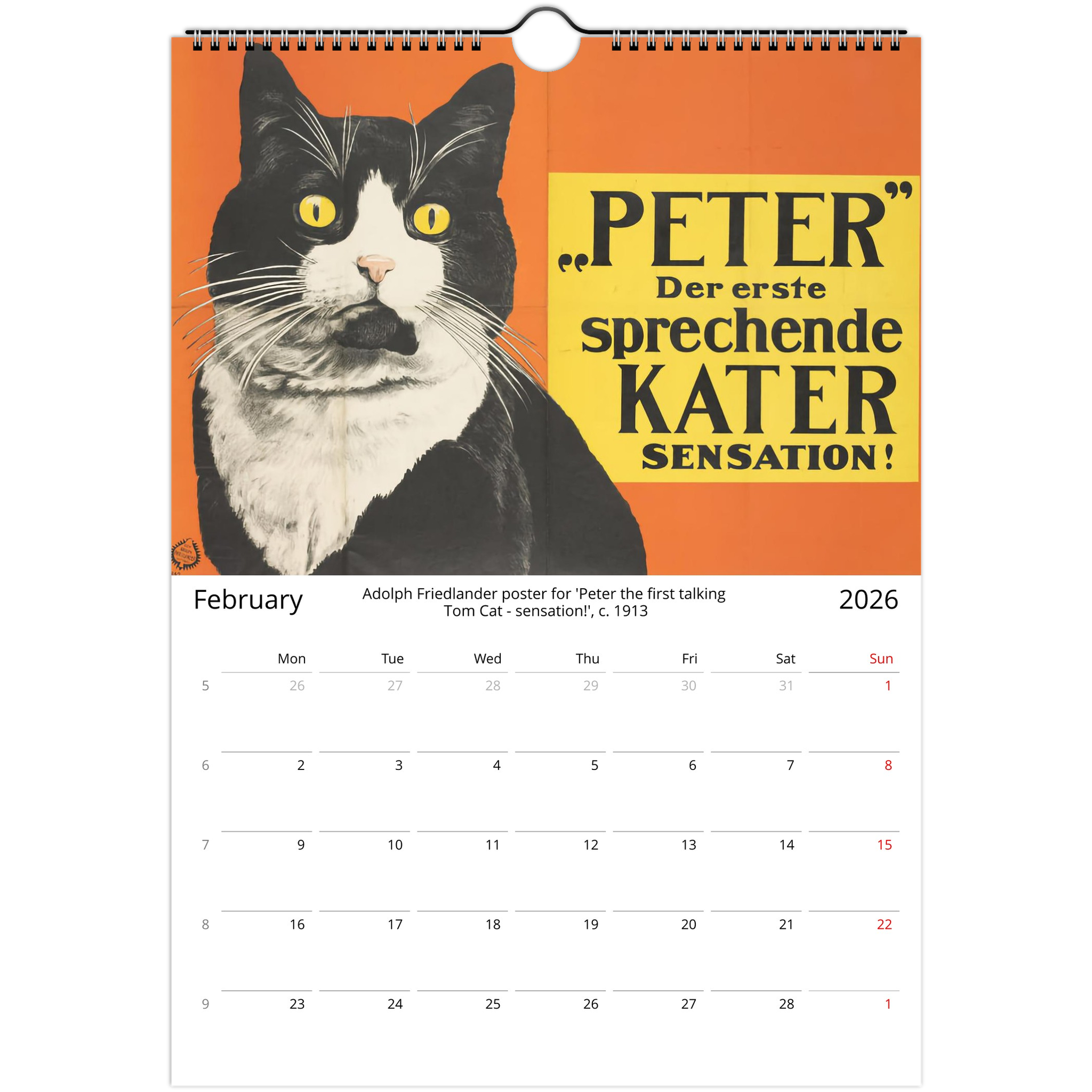 5113d339-096b-4d31-99c5-75ad95865eec