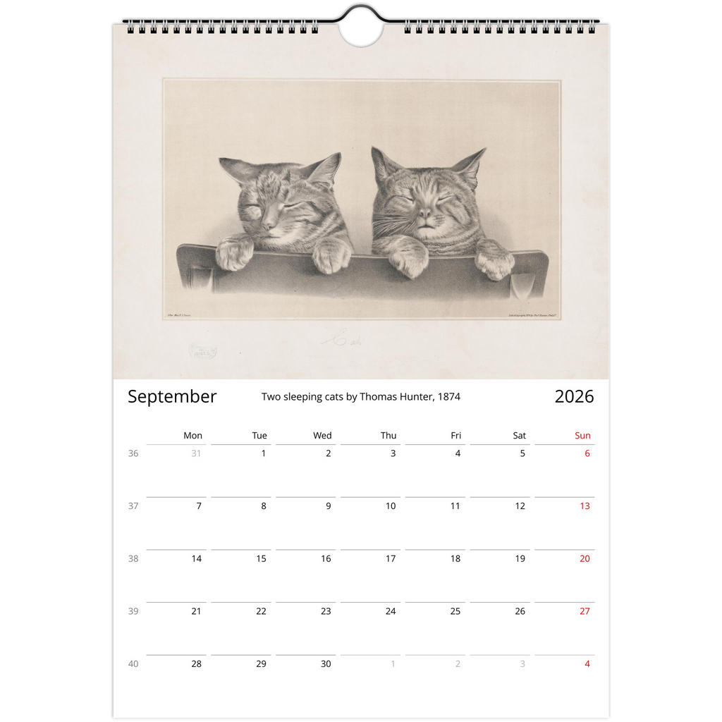 5de90867-ef54-417a-877c-61e3c8eb3a27