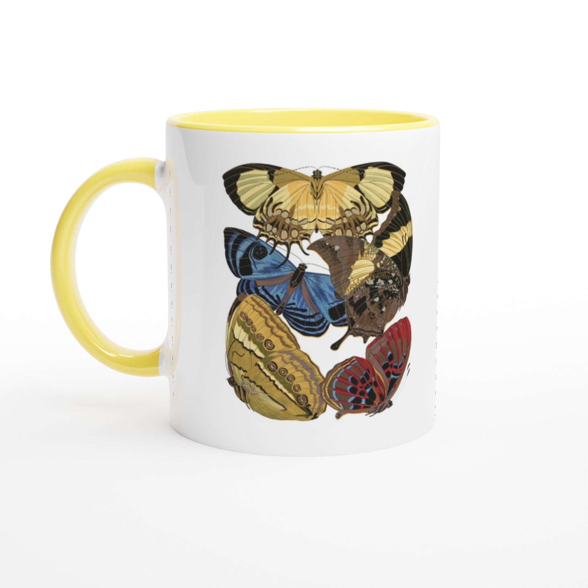 79e2ae9e-a6a7-4c7e-a013-f4367fa50666