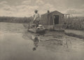 A sizes an eel catcher's home