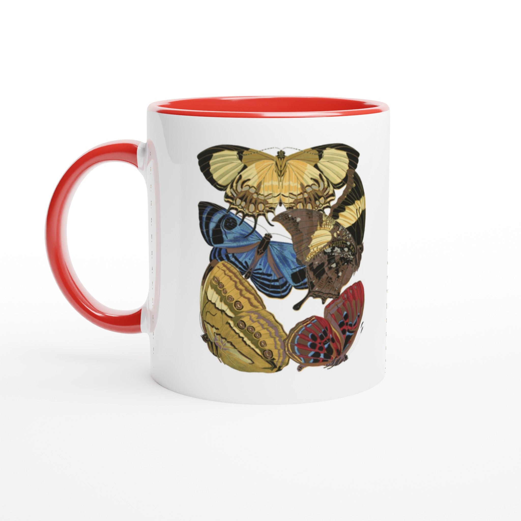 8ffe268f-4e1c-48d4-b39f-1a8eb223d21e