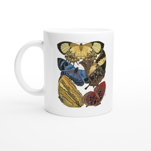 931fedd5-0103-4ec7-93ed-6079f1a03047