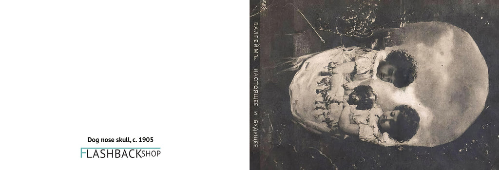 Dog nose death, c. 1905 - Postcard