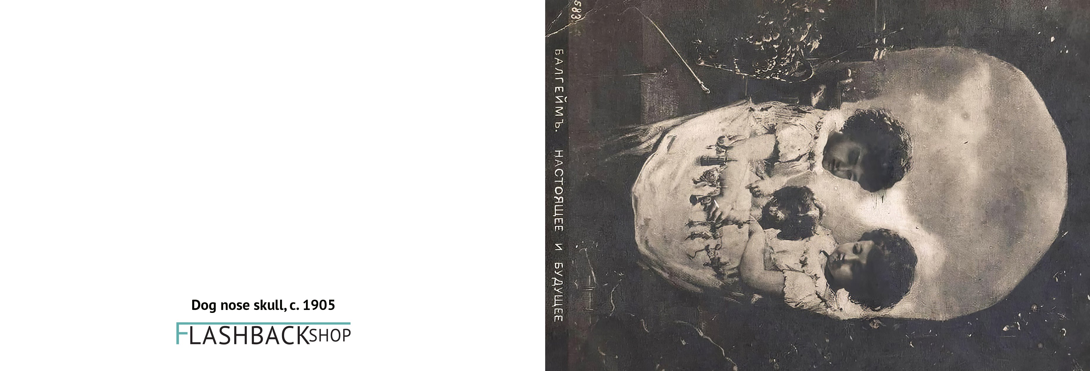 Dog nose death, c. 1905 - Postcard