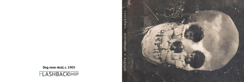 Dog nose death, c. 1905 - Postcard