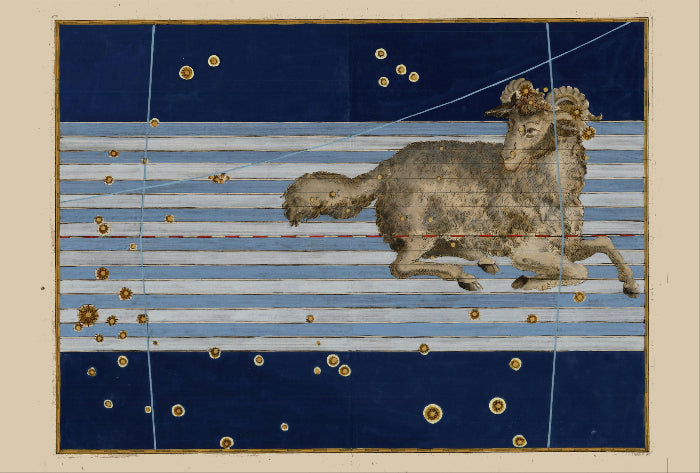 Aries by Johann Bayer, 1603 - postcard
