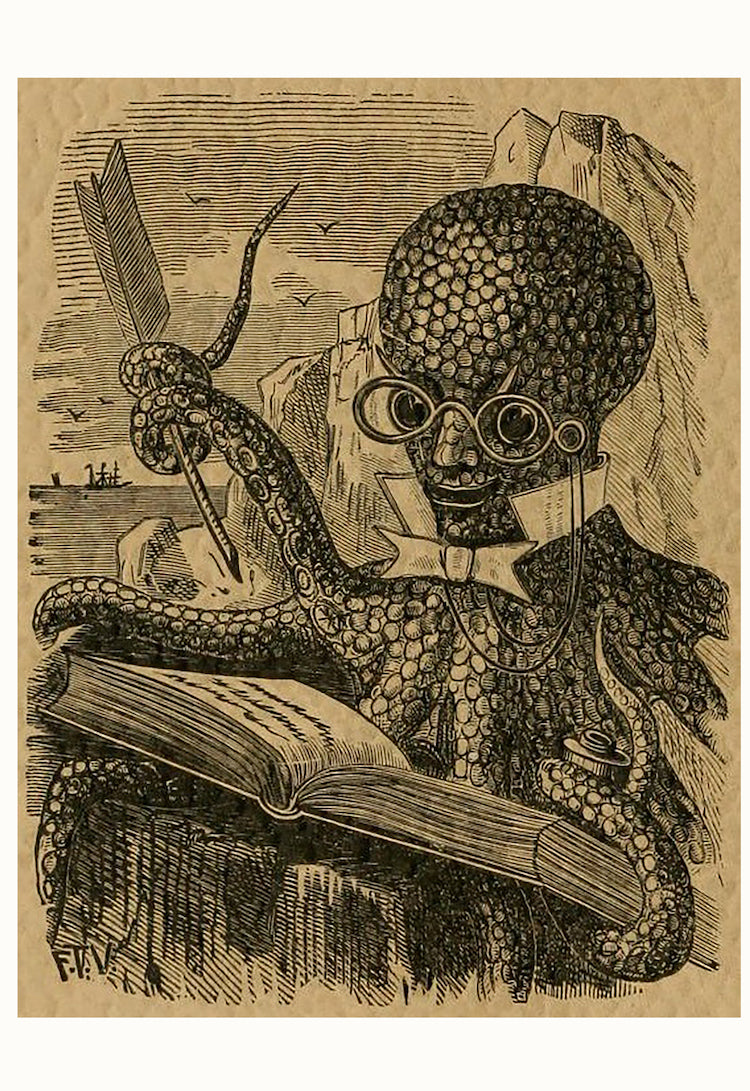 A scholarly octopus from the Transactions of the American Fisheries Society Fifteenth Annual Meeting, 1885 - Postcard