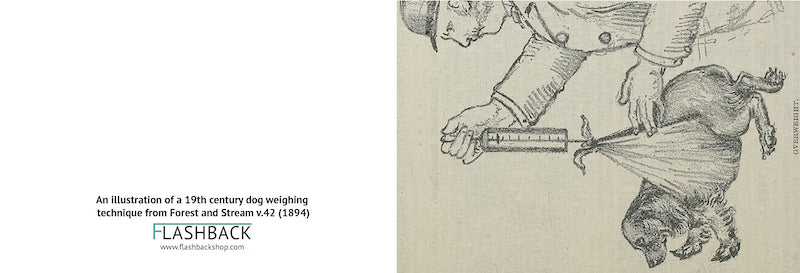 Dog Weight Technique - postcard