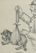 Dog Weight Technique - postcard
