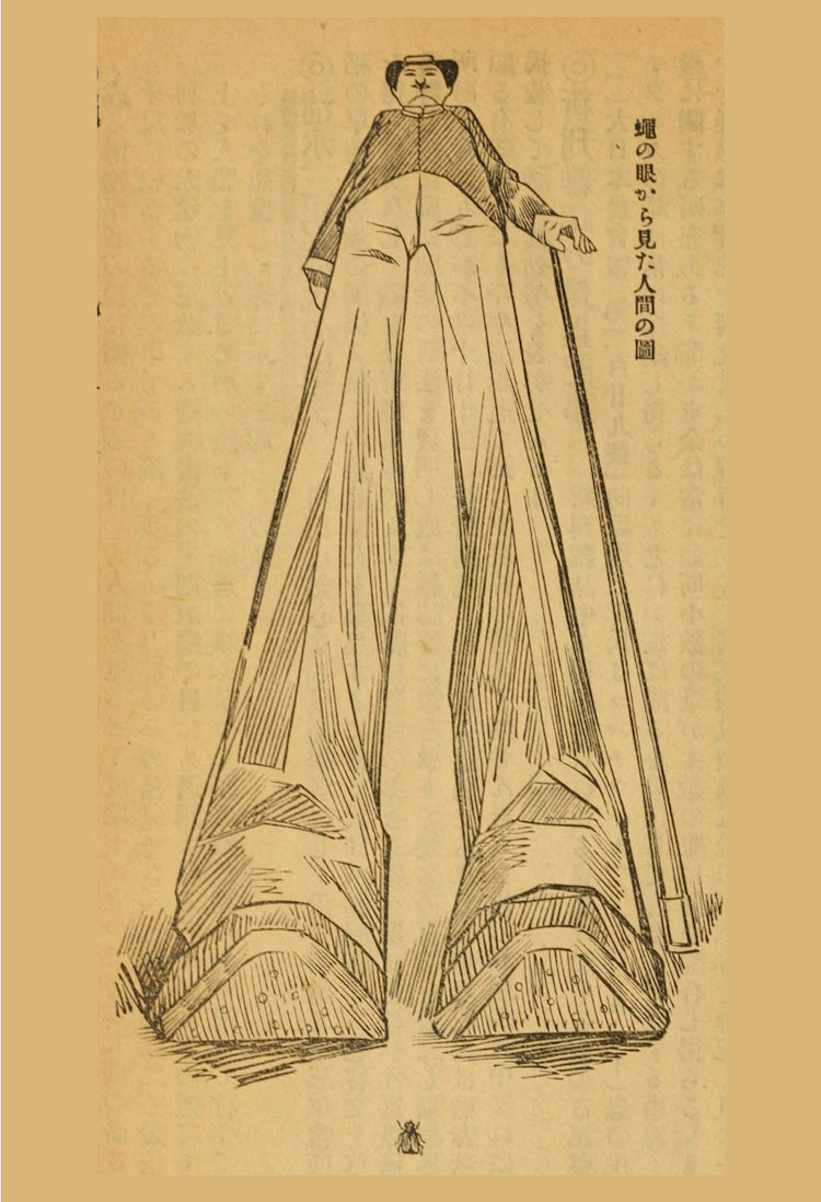 An illustration of a fly’s point of view from 昆蟲世界 = The insect world v.4 (1900) - Postcard