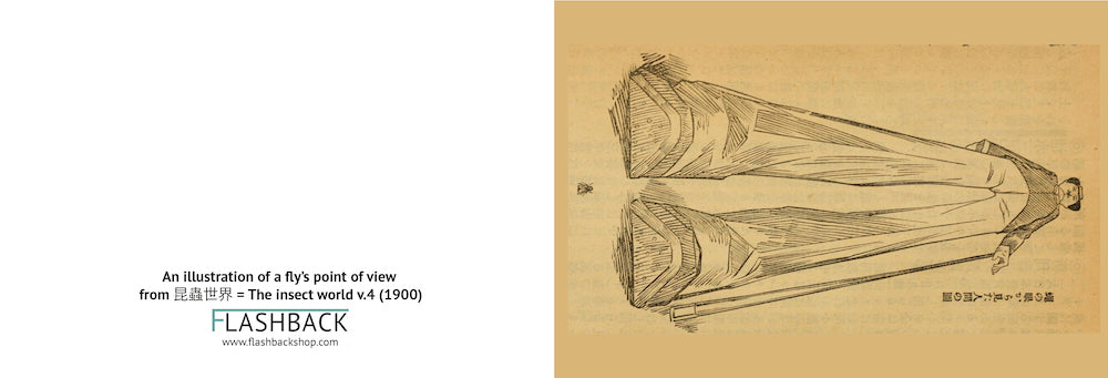 An illustration of a fly’s point of view from 昆蟲世界 = The insect world v.4 (1900) - Postcard