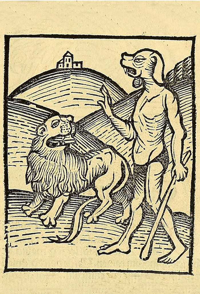 An illustration of some type of dog person having an apparently blasé interaction with a lion from Johann Prüss’s Ortus sanitatis [approx. 1497] - Postcard