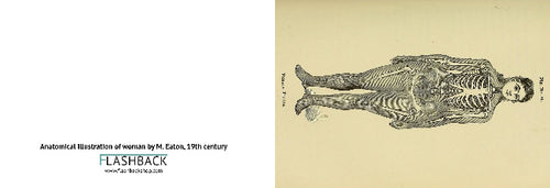 Anatomical illustration of woman by M. Eaton, 19th century - postcard