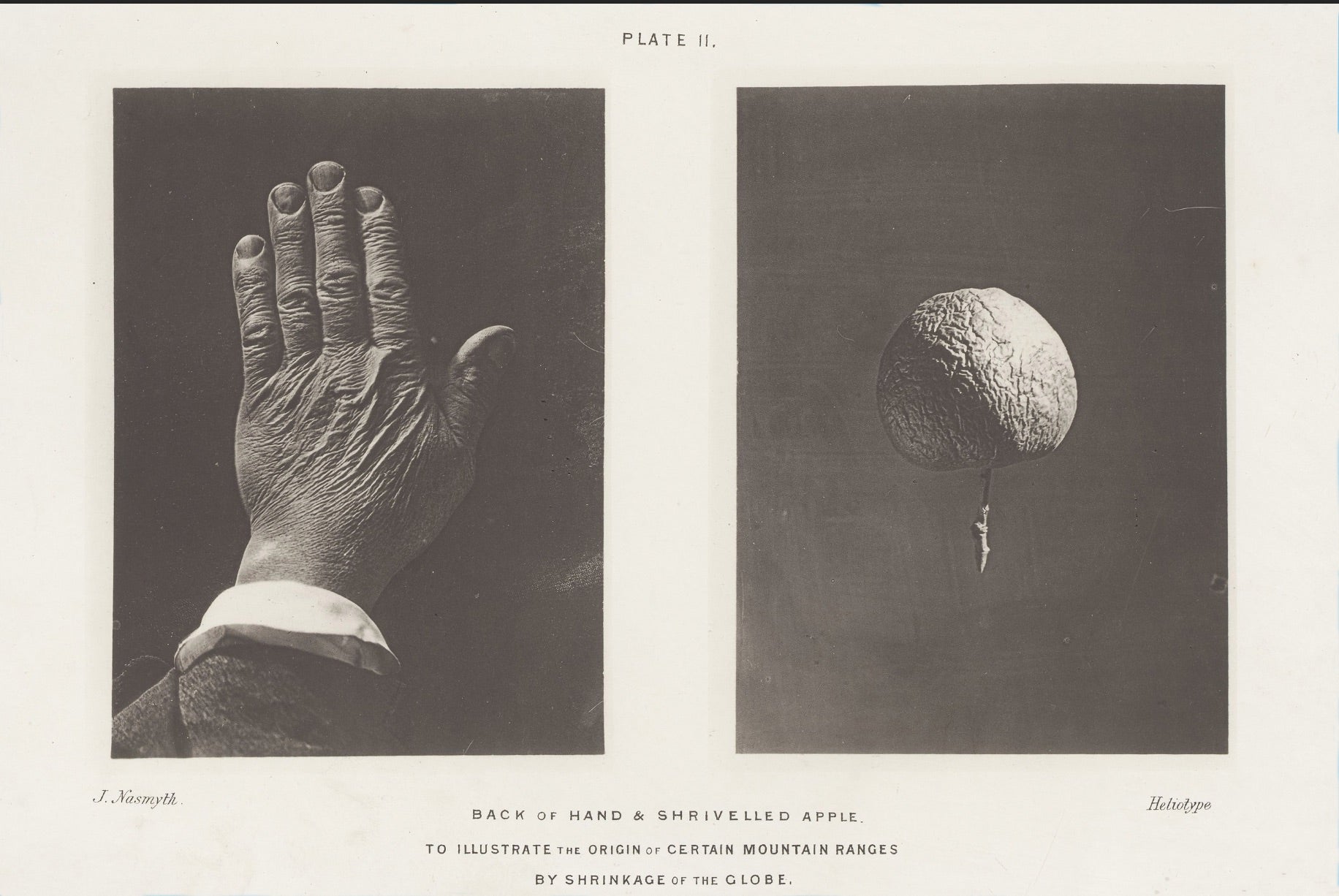 Back of Hand & Shrivelled Apple. To illustrate the origin of certain mountain ranges by shrinkage of the globe, James Nasmyth, c. 1870