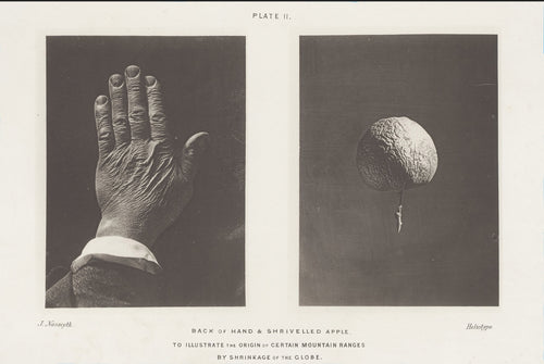 Back of Hand & Shrivelled Apple. To illustrate the origin of certain mountain ranges by shrinkage of the globe, James Nasmyth, c. 1870