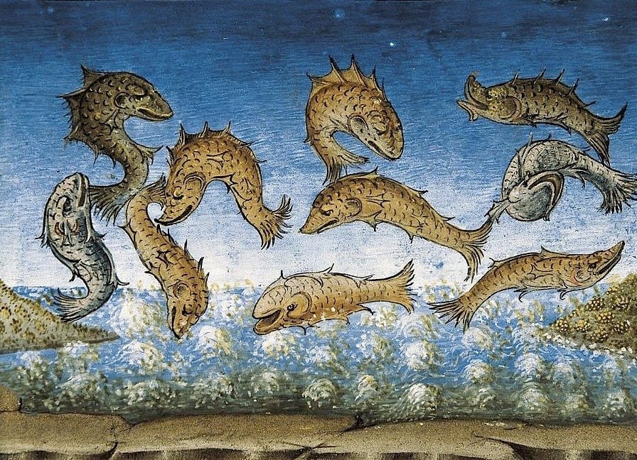 The Fish Will Be Above The Sea from the Final Judgement by Cristoforo de Predis, c. 1440 - Postcard