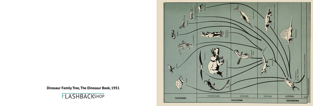 Árbol genealógico de los dinosaurios, El libro de los dinosaurios, 1951 - Postal