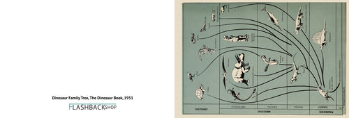 Dinosaur Family Tree, The Dinosaur Book, 1951 - Postcard