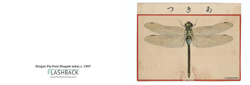 Dragon Fly from Ehagaki sekai, c. 1907 - Postcard