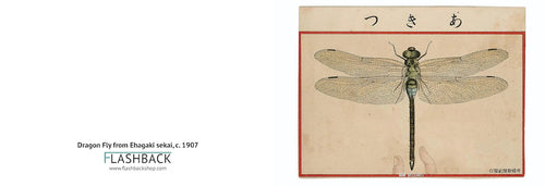 Dragon Fly from Ehagaki sekai, c. 1907 - Postcard