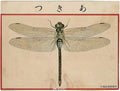Dragon Fly from Ehagaki sekai, c. 1907 - Postcard