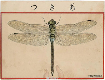 Dragon Fly from Ehagaki sekai, c. 1907 - Postcard