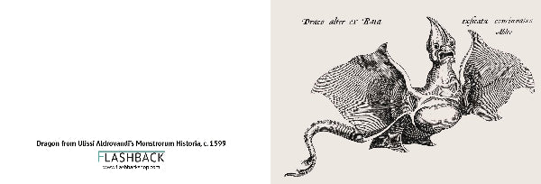 Dragon from Ulissi Aldrovandi’s Monstrorum Historia, c. 1599 - postcard