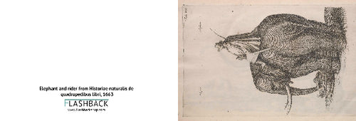 Elephant and Rider from Historiae naturalis de quadrupedibus libri, 1663 - postcard