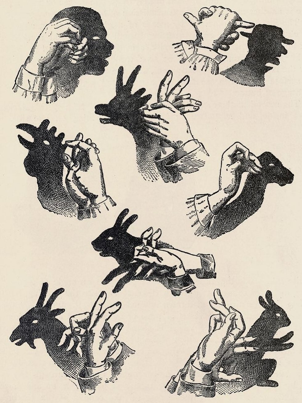 Hand shadow puppets, Unknown artist, c. 1886 - postcard