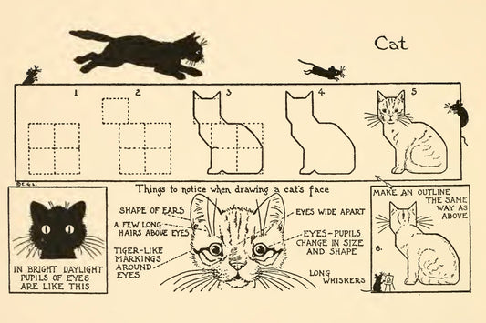 How To Draw Cats by Edwin Lutz, 1913 - Postcard