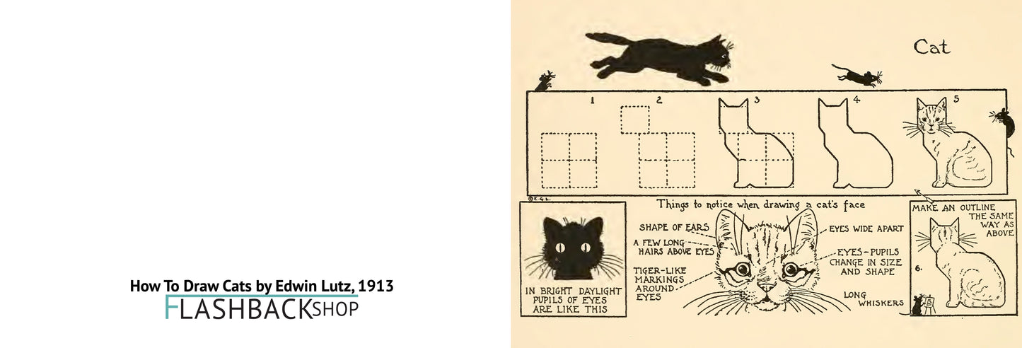 How To Draw Cats by Edwin Lutz, 1913 - Postcard