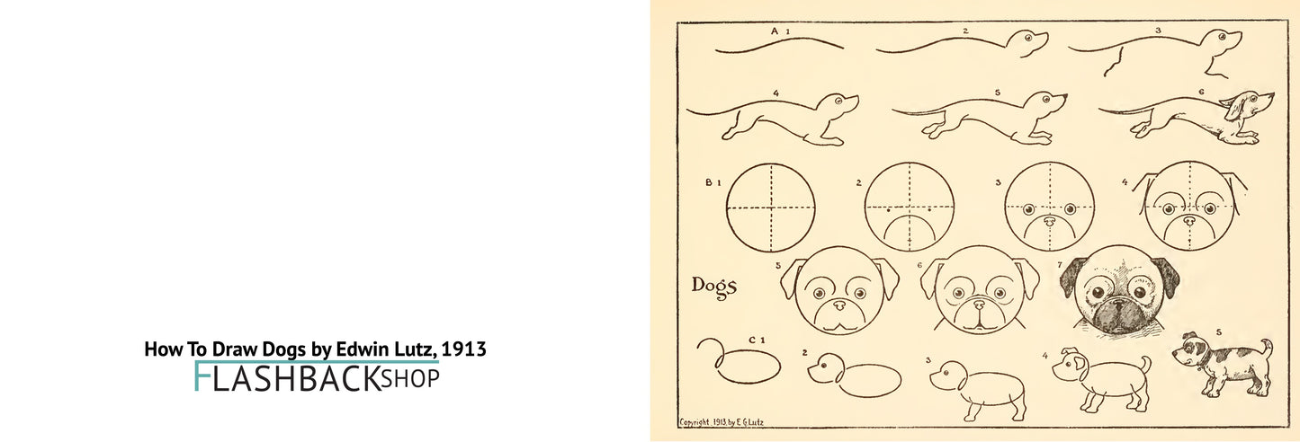 How To Draw Dogs by Edwin Lutz, 1913 - Postcard