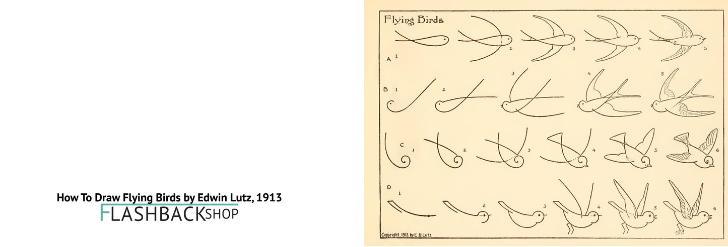 How To Draw Flying Birds by Edwin Lutz, 1913 - Postcard