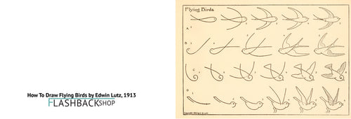 How To Draw Flying Birds by Edwin Lutz, 1913 - Postcard