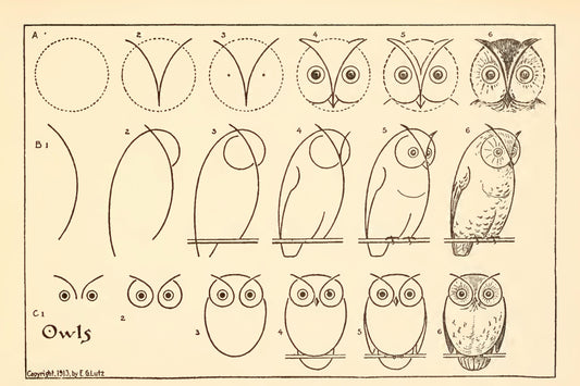 How To Draw Owls by Edwin Lutz, 1913 - Postcard