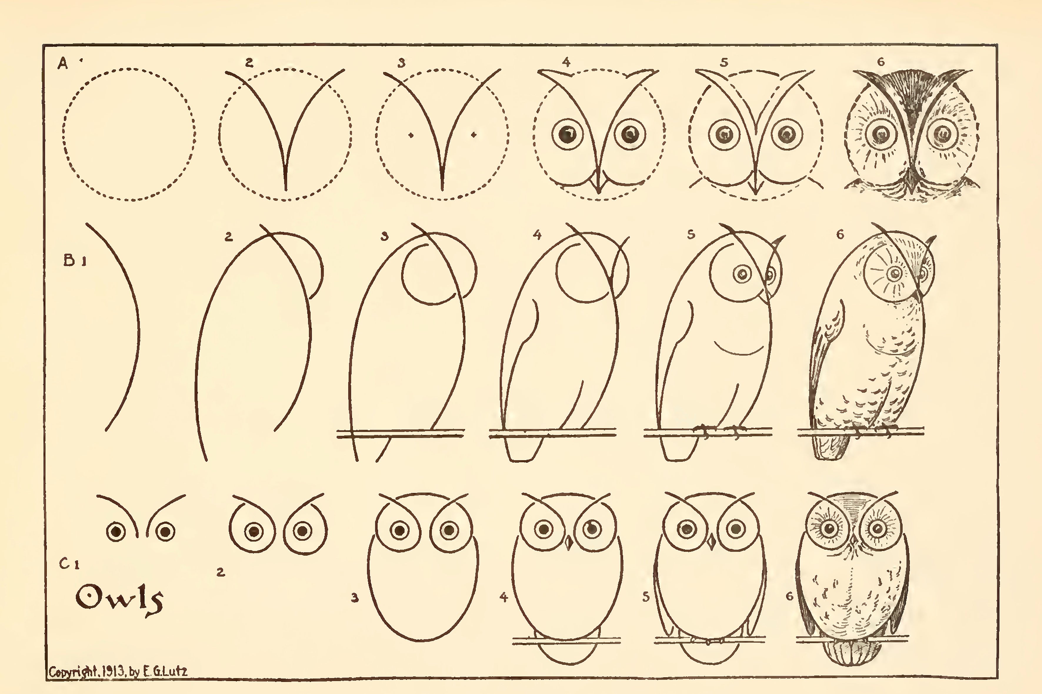 How To Draw Owls by Edwin Lutz, 1913 - Postcard