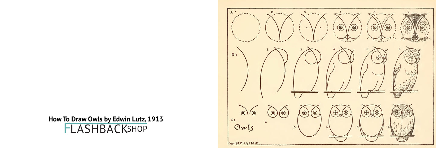 How To Draw Owls by Edwin Lutz, 1913 - Postcard
