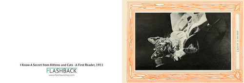 I Know A Secret from Kittens and Cats- A First Reader, 1911 - Postcard