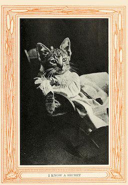 I Know A Secret from Kittens and Cats- A First Reader, 1911 - Postcard