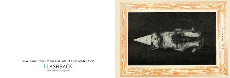 I'm A Dunce from Kittens and Cats - A First Reader, 1911 - Postcard