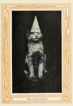 I'm A Dunce from Kittens and Cats - A First Reader, 1911 - Postcard