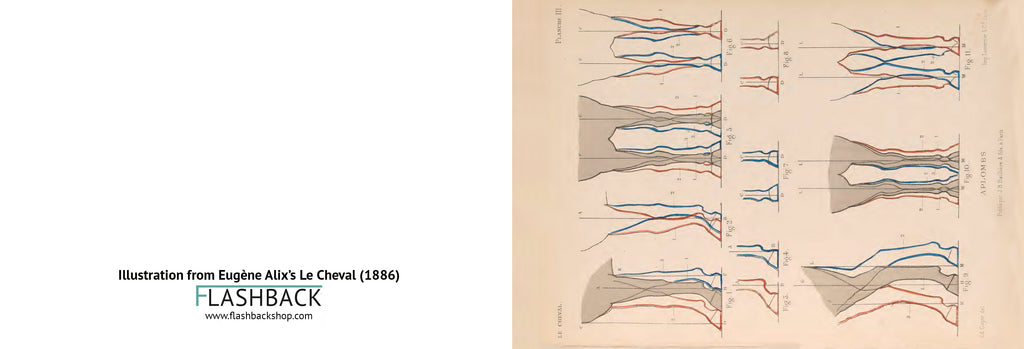 Ilustración de Le Cheval de Eugène Alix, 1886 - Postal
