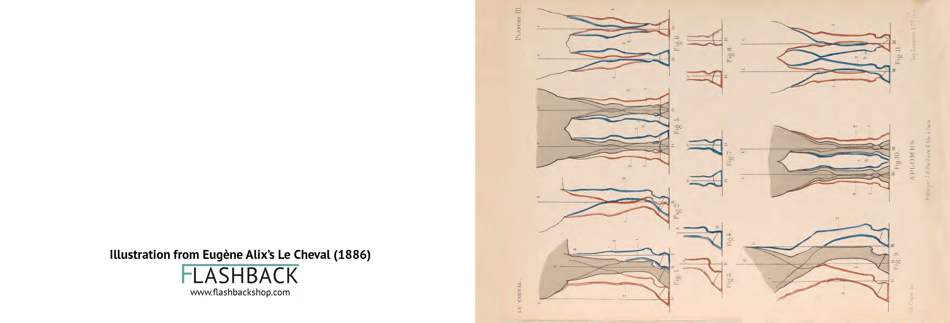 Ilustración de Le Cheval de Eugène Alix, 1886 - Postal