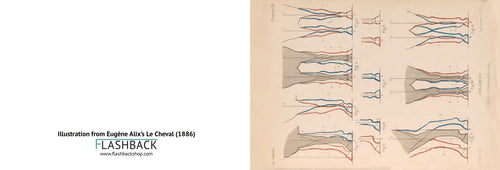 Illustration from Eugène Alix’s Le Cheval, 1886  - Postcard