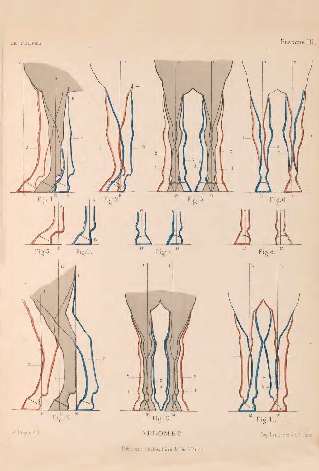 Ilustración de Le Cheval de Eugène Alix, 1886 - Postal