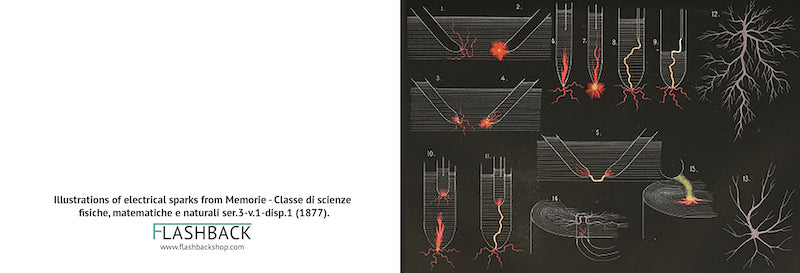 Illustrations of electrical sparks from Memorie - Classe di scienze fisiche, matematiche e naturali ser.3-v.1-disp.1 (1877) - Postcard